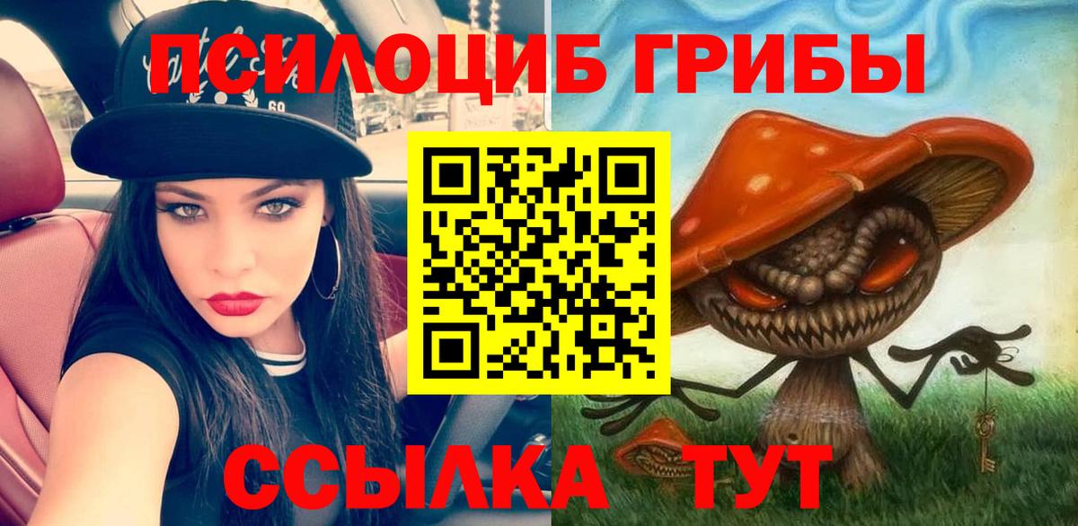 Псилоцибиновые грибы MAGIC MUSHROOMS  Вход с VPN  Великие Луки 