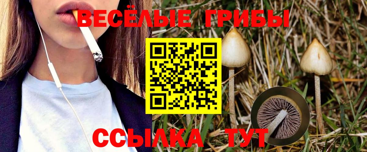 Галлюциногенные грибы Cubensis Великие Луки